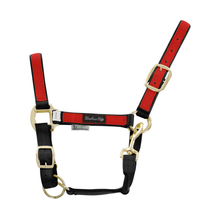 Cabezada de nailon con partes de colores Umbria Equitazione