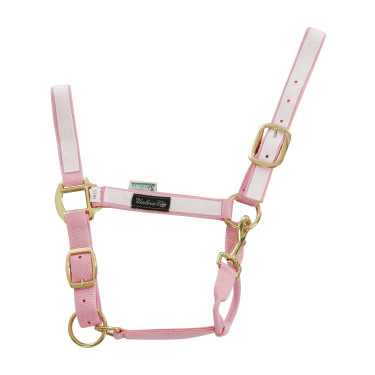 Cabezada de nailon con partes de colores Umbria Equitazione Rosa / blanco