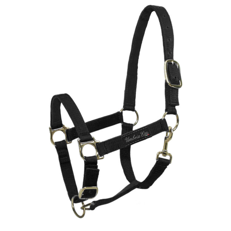 Cabezada de nailon con refuerzo de cuero Umbria Equitazione