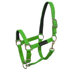 Cabezada de nailon con refuerzo de cuero Umbria Equitazione Limón Amarillo