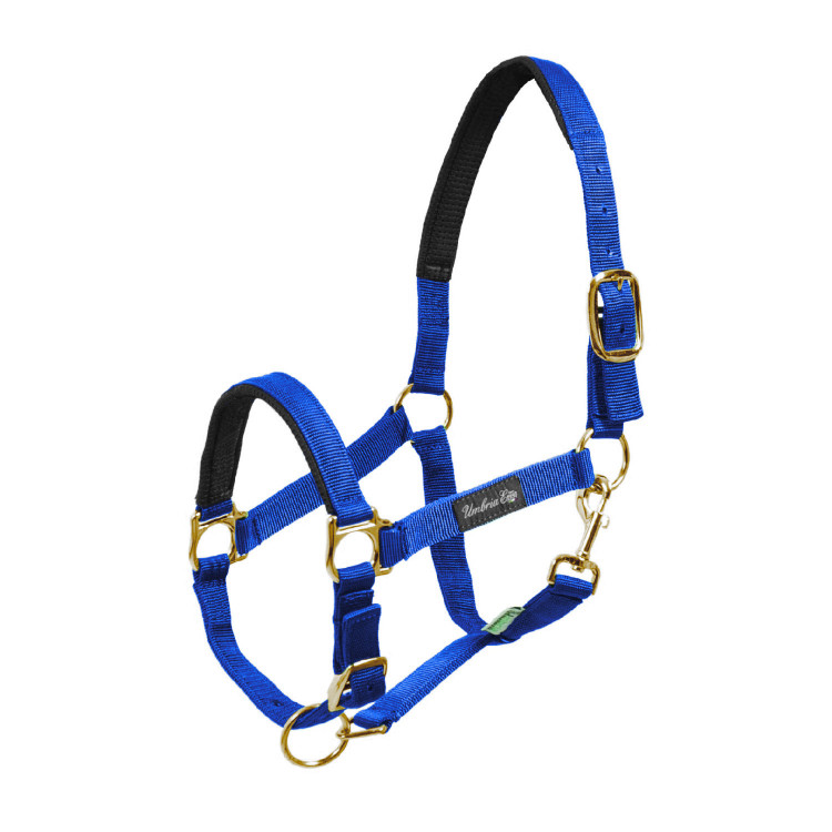 Cabezada de nailon con refuerzo de neopreno Umbria Equitazione Cabezada de nailon con refuerzo de neopreno Umbria Equitazione