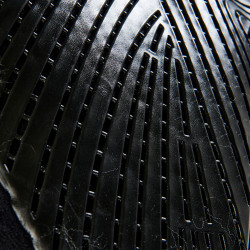 new Negro / natural new Negro / natural