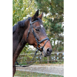 Cabezada cuero negro Classic Covalliero