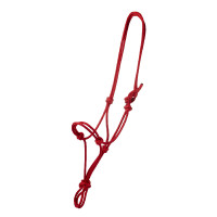 new Roja
