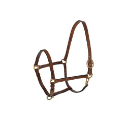 Cabezada de Cuero Sueco Umbria Equitazione Cabezada de Cuero Sueco Umbria Equitazione