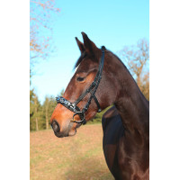 Serretón de cuero Exclusif...