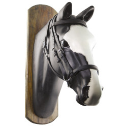 Brida Biothane Horse Ball con Riendas Umbria Equitazione