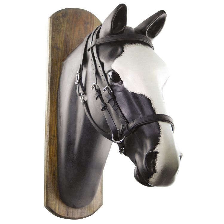 Brida Biothane Horse Ball con Riendas Umbria Equitazione