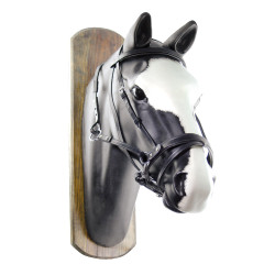 Cabezada Sin Embocadura Horse Ball con Riendas Umbria Equitazione