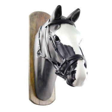 Cabezada Sin Embocadura Horse Ball con Riendas Umbria Equitazione Cabezada Sin Embocadura Horse Ball con Riendas Umbria Equitazione