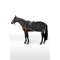 Riñonera Weather Trek Horze