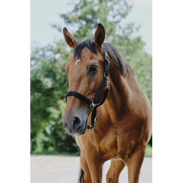 Cabezada de nylon Equithème Protector Cabezada de nylon Equithème Protector