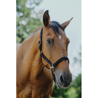 Cabezada de nylon Equithème Protector Cabezada de nylon Equithème Protector