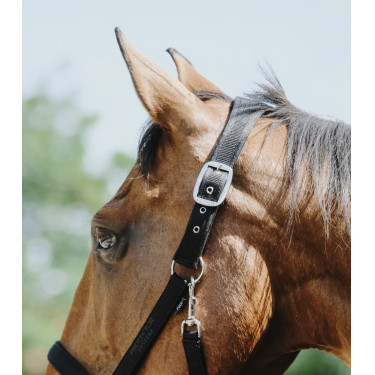 Cabezada de nylon Equithème Protector Cabezada de nylon Equithème Protector