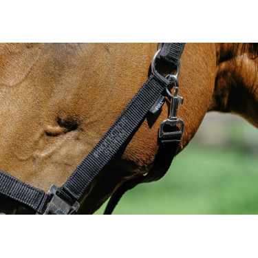 Cabezada de nylon Equithème Protector Cabezada de nylon Equithème Protector