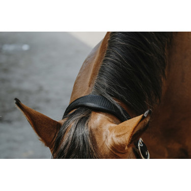Cabezada de nylon Equithème Protector Cabezada de nylon Equithème Protector