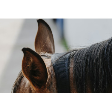 Cabezada de nylon Equithème Protector Cabezada de nylon Equithème Protector
