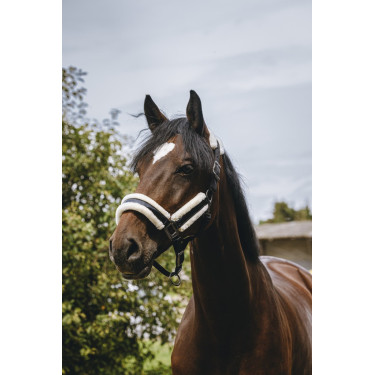 Cabezada de nailon Equithème Fashion Cabezada de nailon Equithème Fashion