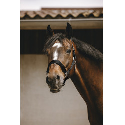 Cabezada de nailon Equithème Jacquard Cabezada de nailon Equithème Jacquard