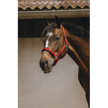 Cabezada de nailon Equithème Jacquard Cabezada de nailon Equithème Jacquard