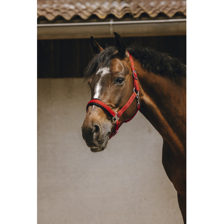 Cabezada de nailon Equithème Jacquard Cabezada de nailon Equithème Jacquard