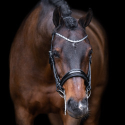 Brida Imperial Riding Olympia