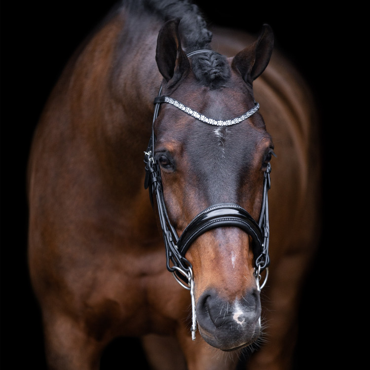 Brida Imperial Riding Olympia