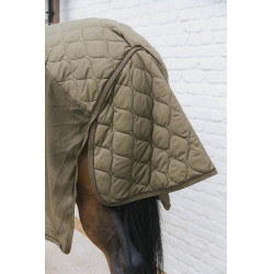 Transporte Combo Cooler Forro Polar Kentucky Verde abeto