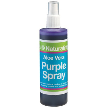 Aloe Vera Purple Spray NaturalintX Aloe Vera Purple Spray NaturalintX