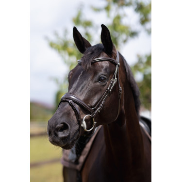 Filete brida Nature Made Leisure Horze Marrón espresso Marr&amp;oacute;n