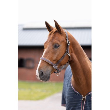 Cabezada de cuero Physical Sophistication Horze Cabezada de cuero Physical Sophistication Horze