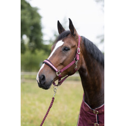 Cabezada Physical Sophistication Horze Cabezada Physical Sophistication Horze