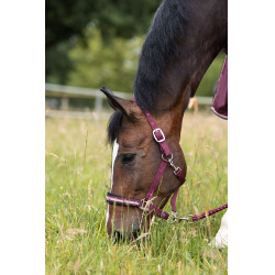 Cabezada Physical Sophistication Horze Cabezada Physical Sophistication Horze