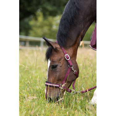 Cabezada Physical Sophistication Horze Cabezada Physical Sophistication Horze