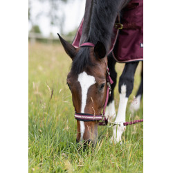 Cabezada Physical Sophistication Horze Cabezada Physical Sophistication Horze