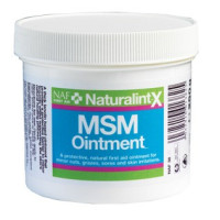 Pomada MSM NaturalintX NAF