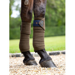 Vendas polo poni LeMieux Alpino Marr&amp;amp;amp;oacute;n