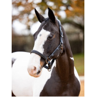 Cabezada de cuadra Capella LeMieux Negro Cabezada de cuadra Capella LeMieux Negro