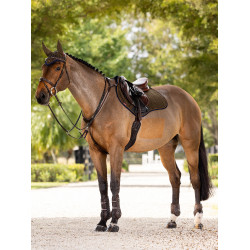 Mantilla LeMieux Prosport Close contact S - suede Alpino Marrón