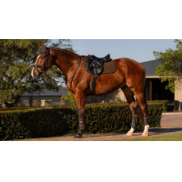 Mantilla LeMieux Prosport Close contact S - suede Beige