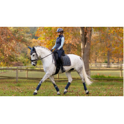 Mantilla LeMieux Loire Classic Dressage Square Petróleo Azul Mantilla LeMieux Loire Classic Dressage Square Petróleo Azul