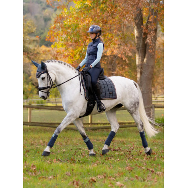 Mantilla LeMieux Loire Classic Dressage Square Petróleo Azul Mantilla LeMieux Loire Classic Dressage Square Petróleo Azul