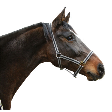 Cabezada Hippo Covalliero Negro / plata