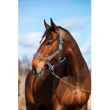 Cabezada Hippo Covalliero Negro / plata