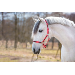 Cabezada Hippo Covalliero Rosa / marrón