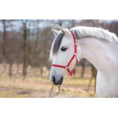 Cabezada Hippo Covalliero Rosa / marrón