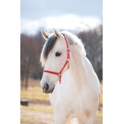 Cabezada Hippo Covalliero Rosa / marrón