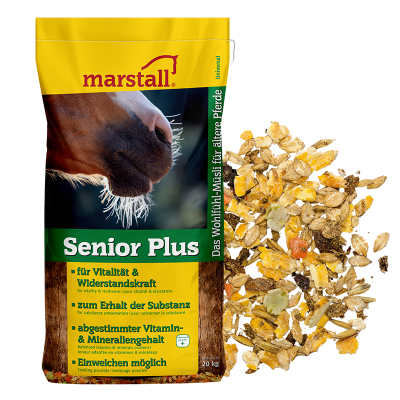 copy of Senior-Aktiv Marstall