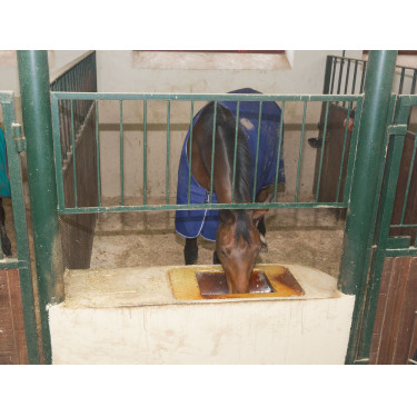 Cámara para establos IPCam 2.0 HD Kerbl Cámara para establos IPCam 2.0 HD Kerbl