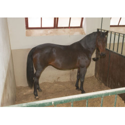 Cámara para establos IPCam 2.0 HD Kerbl Cámara para establos IPCam 2.0 HD Kerbl